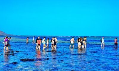 Blue Eye, Salt Lake, Lemon Sharks and Palmeira From Sal Island