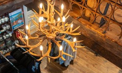 Bergen Viking Experience and Tasting Journey