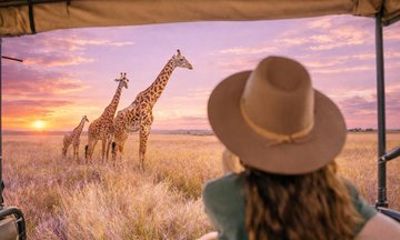 Sip + Safari Adventure: Aquila Game Drive & Spice Route Winelands