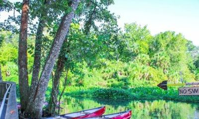 Canoe Rental at Wekiwa Springs