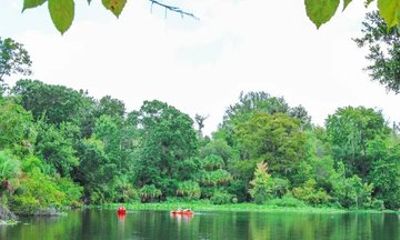 Tandem Kayak Rental at Wekiwa Springs
