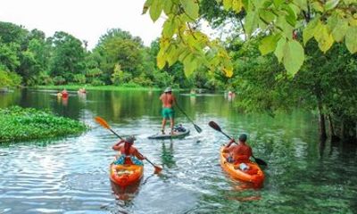Stand-up Paddle Board Rental at Wekiwa Springs