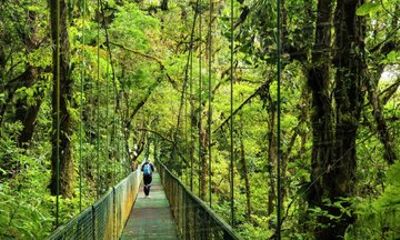 Private Monteverde Hanging Bridges Tour