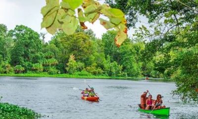 Guided Canoe Tour at Wekiwa Springs