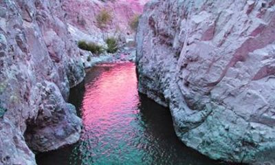 Codpa Oasis Heritage Tour from Arica