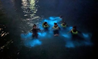 Grand Cayman Bioluminescence Boat Tour and Starfish Point