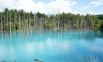 3 Day Private Bespoke Hokkaido Tour