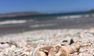 Arica Beaches & Sea Caves Tour