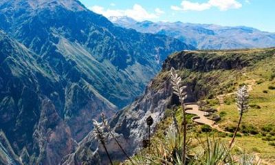Colca Canyon One Day Tour Hike Condor Viewpoint Inca Trail