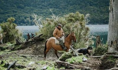 Escondido Lake Horseback Riding with Optional Patagonian BBQ