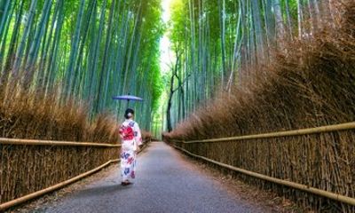 Kyoto and Nara Private Luxury Guided Day Tour with Hotel Pickup
