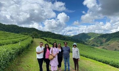 Private Doi Mae Salong and Doi Tung Guided Tour from Chiang Rai