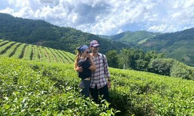 Chiang Rai Private Mountain Tour Doi Mae Salong and Doi Tung