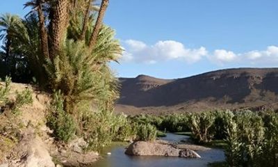 Oasis of Fint Half-Day Trip from Ouarzazate