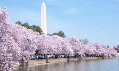 Washington Monument Walking Guided Tour