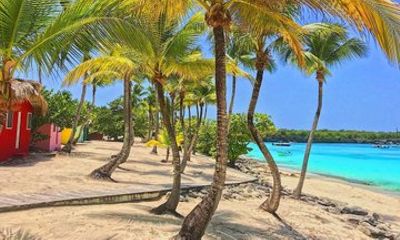 Catalina Island Escape with Snorkeling and Catamaran Adventure