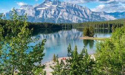 Banff Wildlife and Scenic Highlights Public Tour