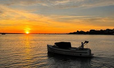 Porto: Douro Wonders Sunset River Cruise & Olive Oil Tasting