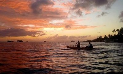 Sunset Kayak and Snorkel Tour at Mangel Halto Aruba
