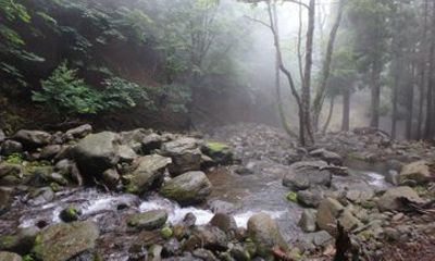 Clear stream trekking in Tottori