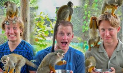 Small Group to Monkey Island Jungle Adventure in Puerto Plata