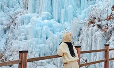 Eobi Ice Valley and Snow Sledding Tour from Seoul