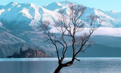 Wanaka Private Tour from Queenstown Scenic Drive and Lakeside