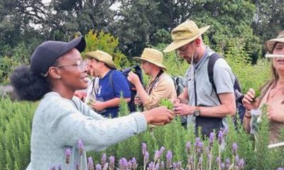 Gathoni Sensory Garden and Tea Farm Guided Tour With Tasting