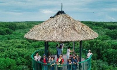 Private Can Gio Biosphere Reserve and Vam Sat Mangrove Tour