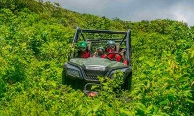 Saint Kitts Family Forest Ride