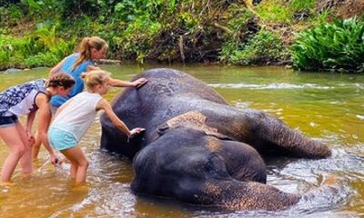 All-Inclusive Kandy Day Trip: Ambuluwawa Tower, Elephants & Lunch
