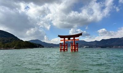 Miyajima Small Group Tour from Hiroshima Station