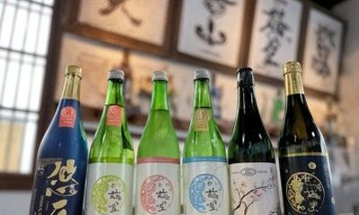 Niigata Ichiryu Sake Brewery Tour and Tasting
