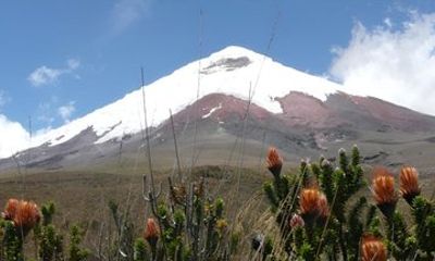 Private Tour at Cotopaxi with Bilingual Guide
