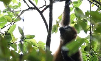 Natural Costa Rica Tour 7 Days and 6 Nights