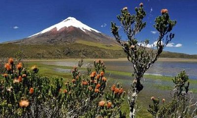 Avenida de los volcanes 2 days of an Andean adventure