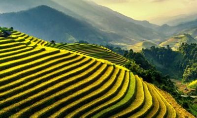 Sacred Valley Tour: Pisac, Maras, Chinchero & Ollantaytambo