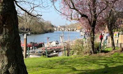 Nordic Walking Tour of Richmond