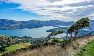 Private Akaroa Day Tour from Christchurch