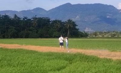 Balik Pulau Bicycle Tour