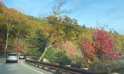 Fall Colors - Van Tour from Bar Harbor