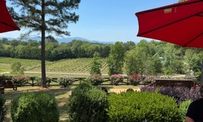 Tryon Winery Tour Explore 3 Wineries with Tastings