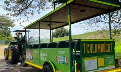 Buga, Hacienda Piedechinche and Cane Museum Tour from Cali