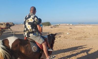 Hurghada Desert and Beach Horse or Camel Riding Adventures