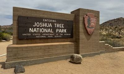 Private 1 Day Tour to Joshua Tree National Park