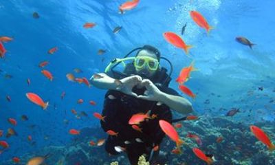 Diving PADI Course Open Water with Boat Dives in 3 Days -Hurghada