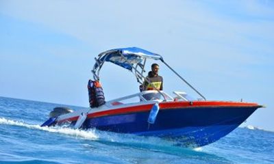 Private Speedboat to Dolphin House with Parasailing Fun -Hurghada