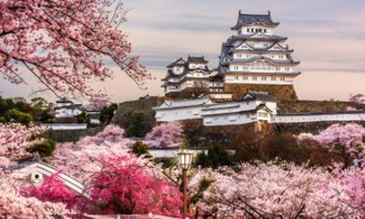 Himeji Kobe and Mount Shosha Private Day Tour