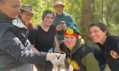 Bush Tucker Walk with Museum Entry