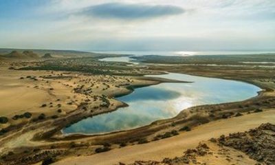 Fayoum Oasis Day Tour From Cairo Wadi El Hitan And Rayan